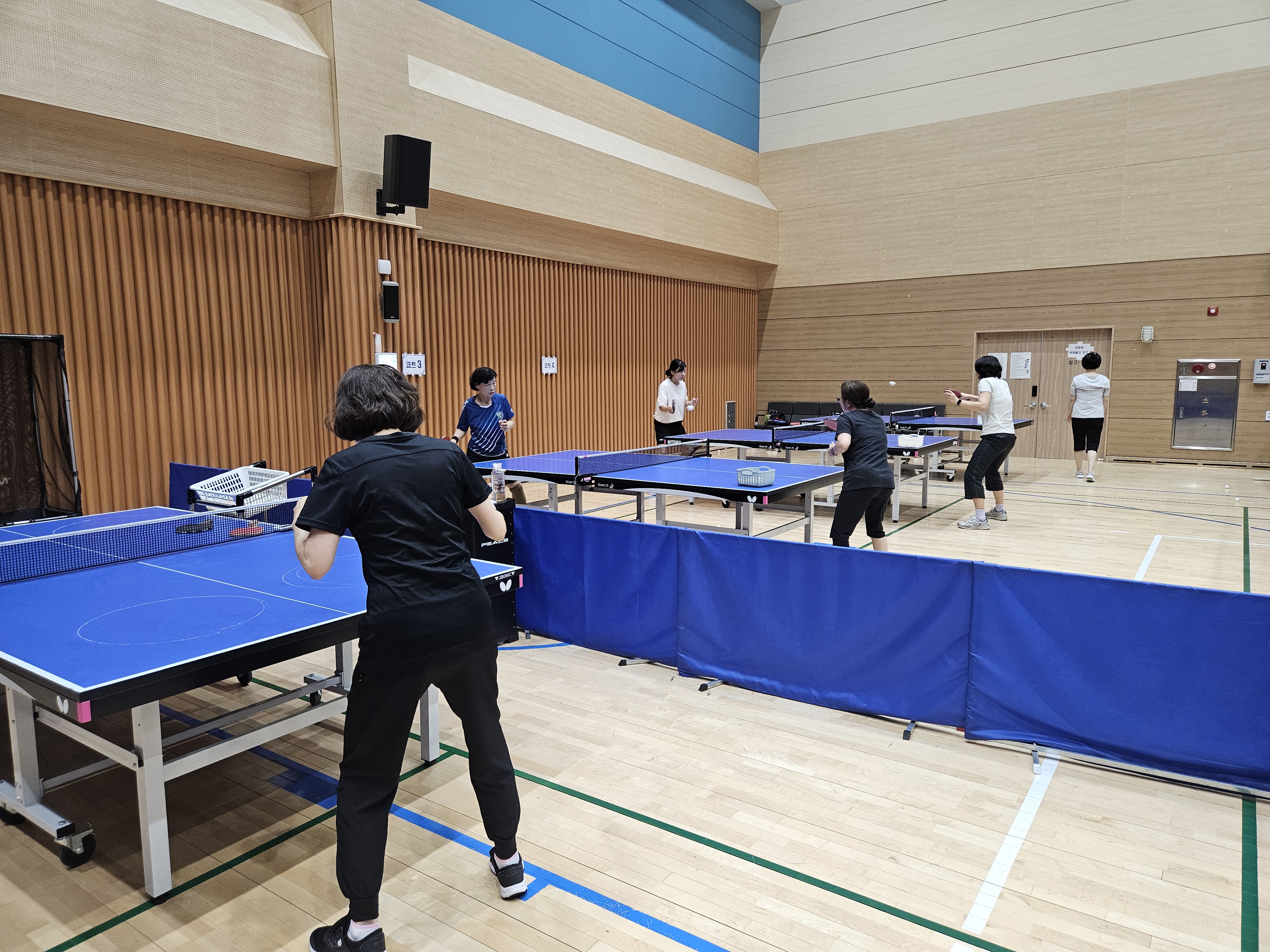 2026년 4기 반곡동 행정복지센터 탁구(2층체육관) / 입문,초급반